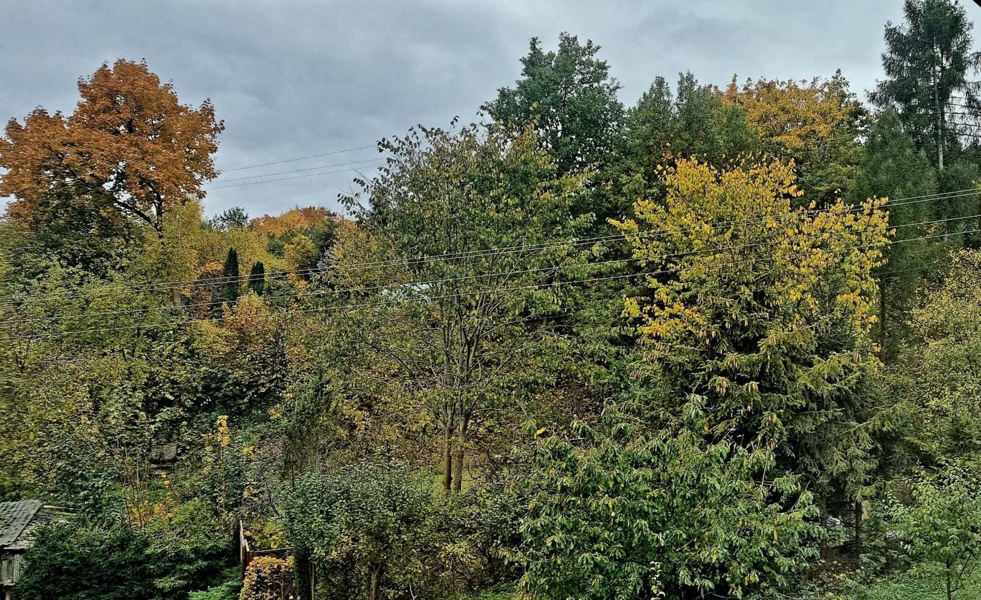 Vila Skolimowka Chmielno Exteriér fotografie